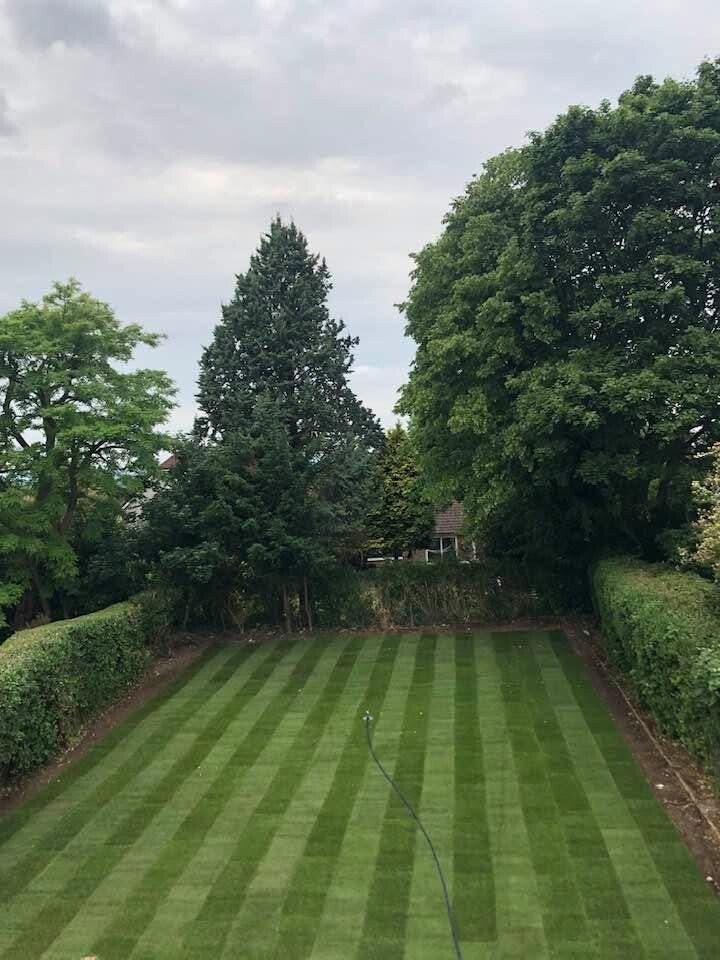 Garden Transformation / Completion / Alton / Ideal Landscapes