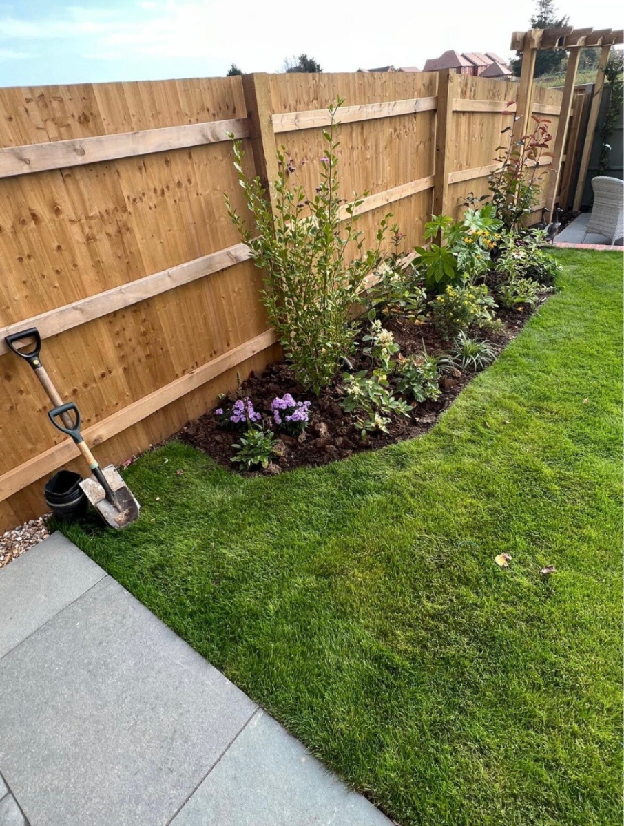 Natural wooden fencing in Basingstoke with green ivy climbing up the panels, showcasing durable garden fencing with a rustic look.