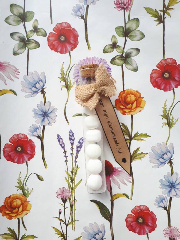 Uitmuntende juf/meester