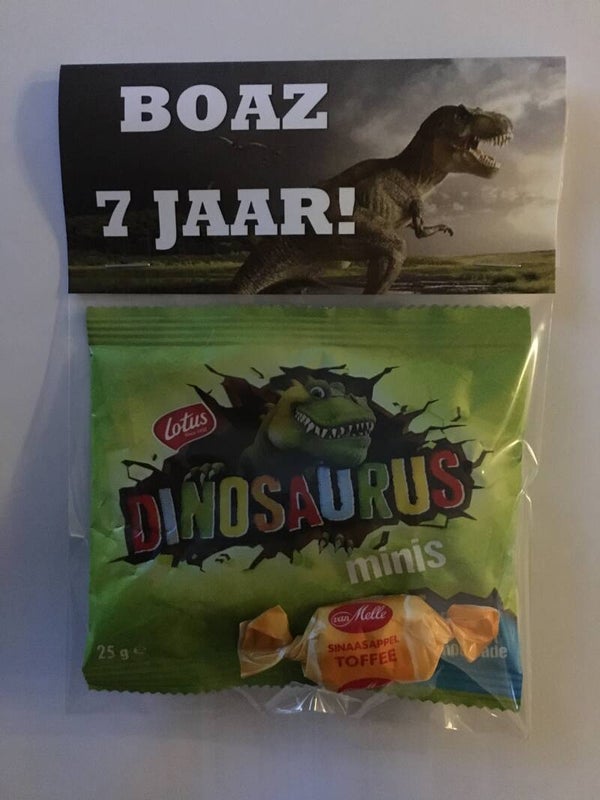 Snoepzakje dino