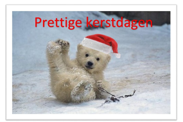 hondje sneeuw kerst