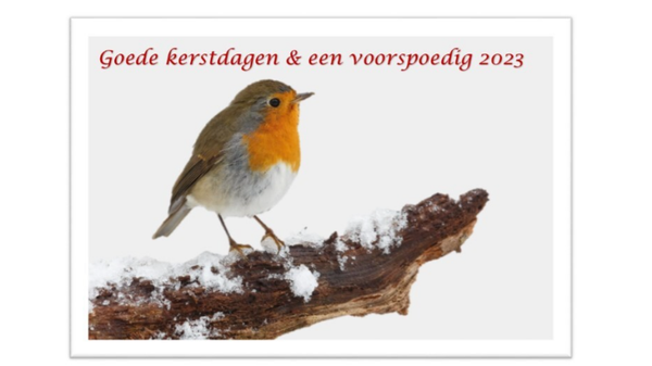 roodborstje op tak kerst