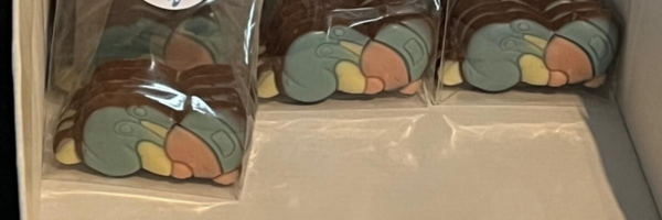 Chocolade geboorte baby