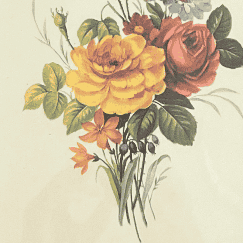 Bouquet de fleurs - Illustration ancienne