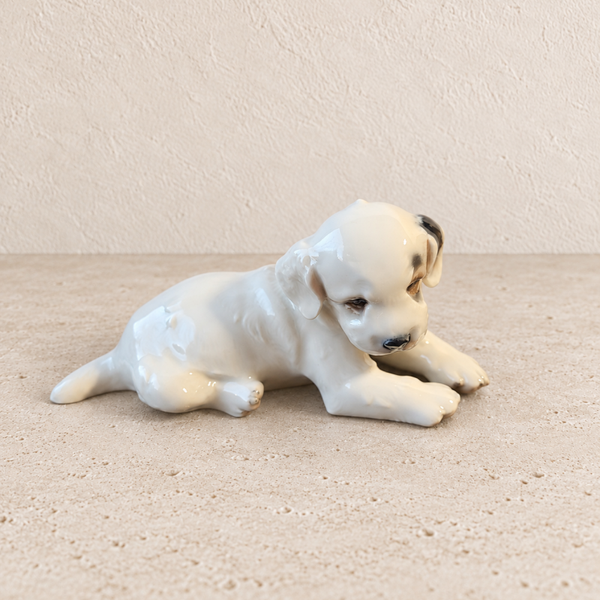 Chiot terrier en porcelaine Rosenthal