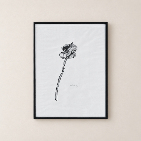 Iris – dessin à l’encre de Chine signé Berte (1969)