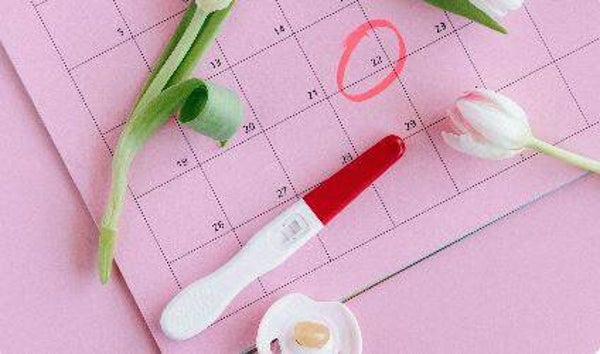 Premium Excel Geboorteplanner