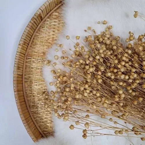 Droogbloem Linum Vlas Naturel