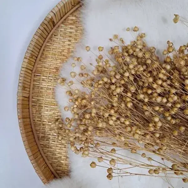 Droogbloem Linum Vlas Naturel