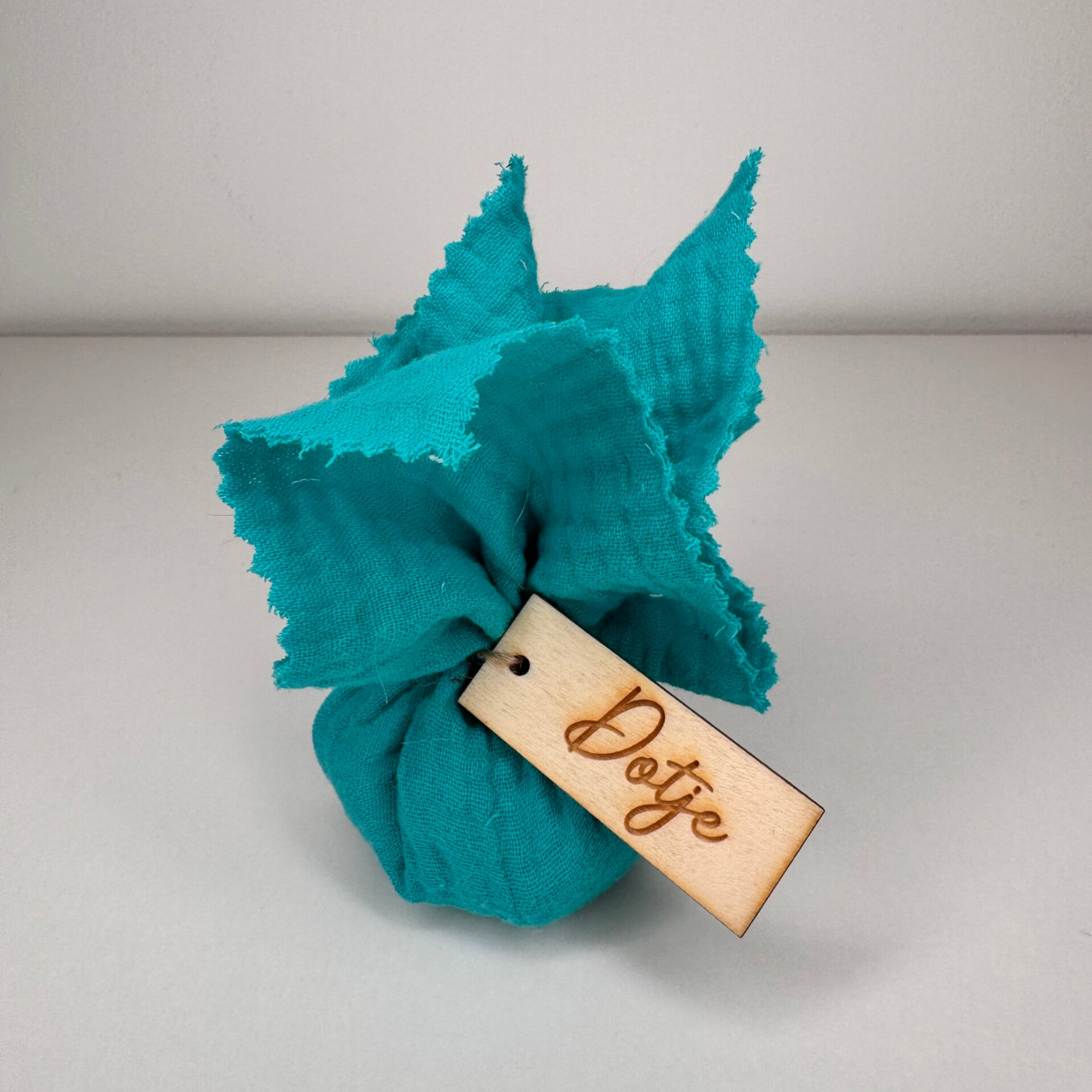 Tetra turquoise