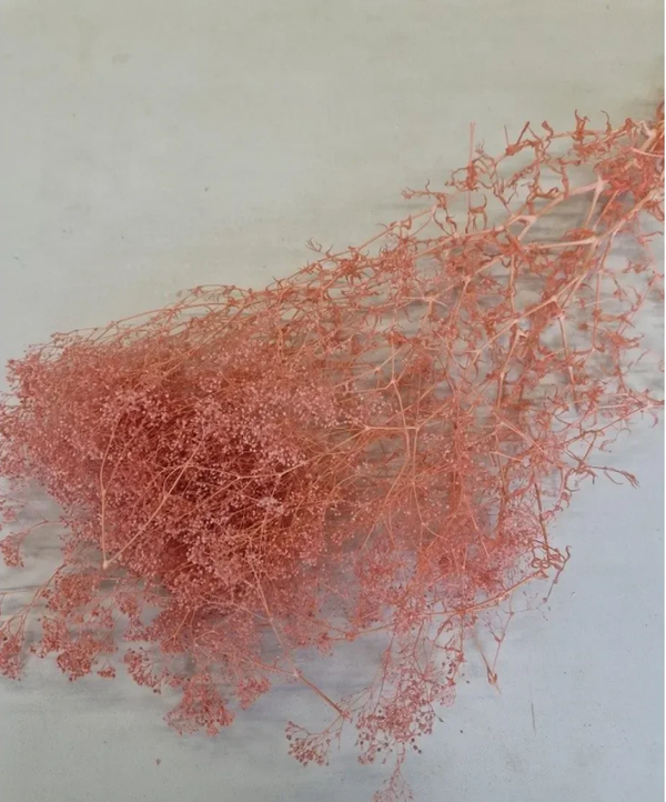 Droogbloem Gypsophila Poederroze