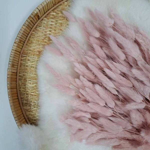 Droogbloem Lagurus Poederroos