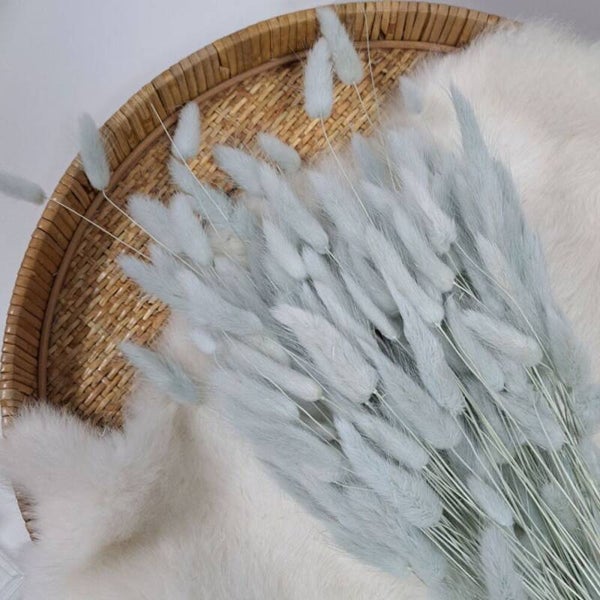 Droogbloem Lagurus Meadow mist