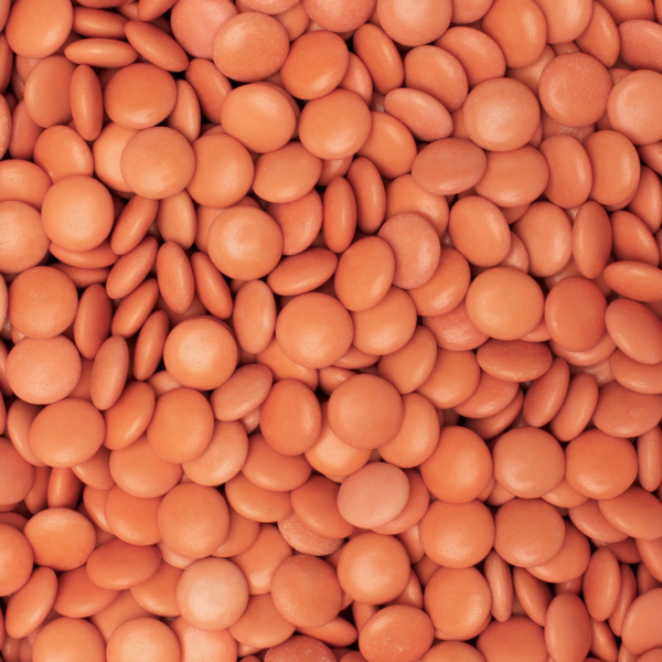 Lentilles Oud Roos - DB