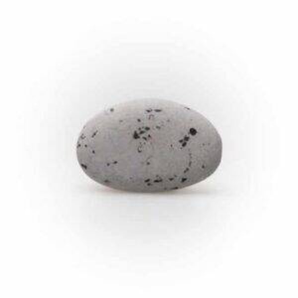 Suikerbonen Picasso Grijs  - DB