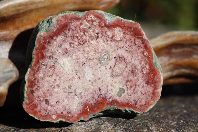 NZ Volcanic Rhyolite Display Stone