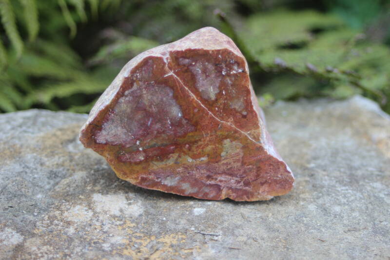 Red Jasper / Brecciated Jasper hand picked Firth of Thames