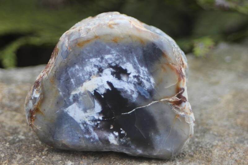  opalized petrified wood Tirua