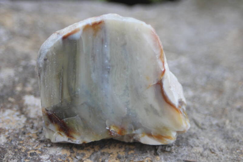  opalized petrified wood Tirua