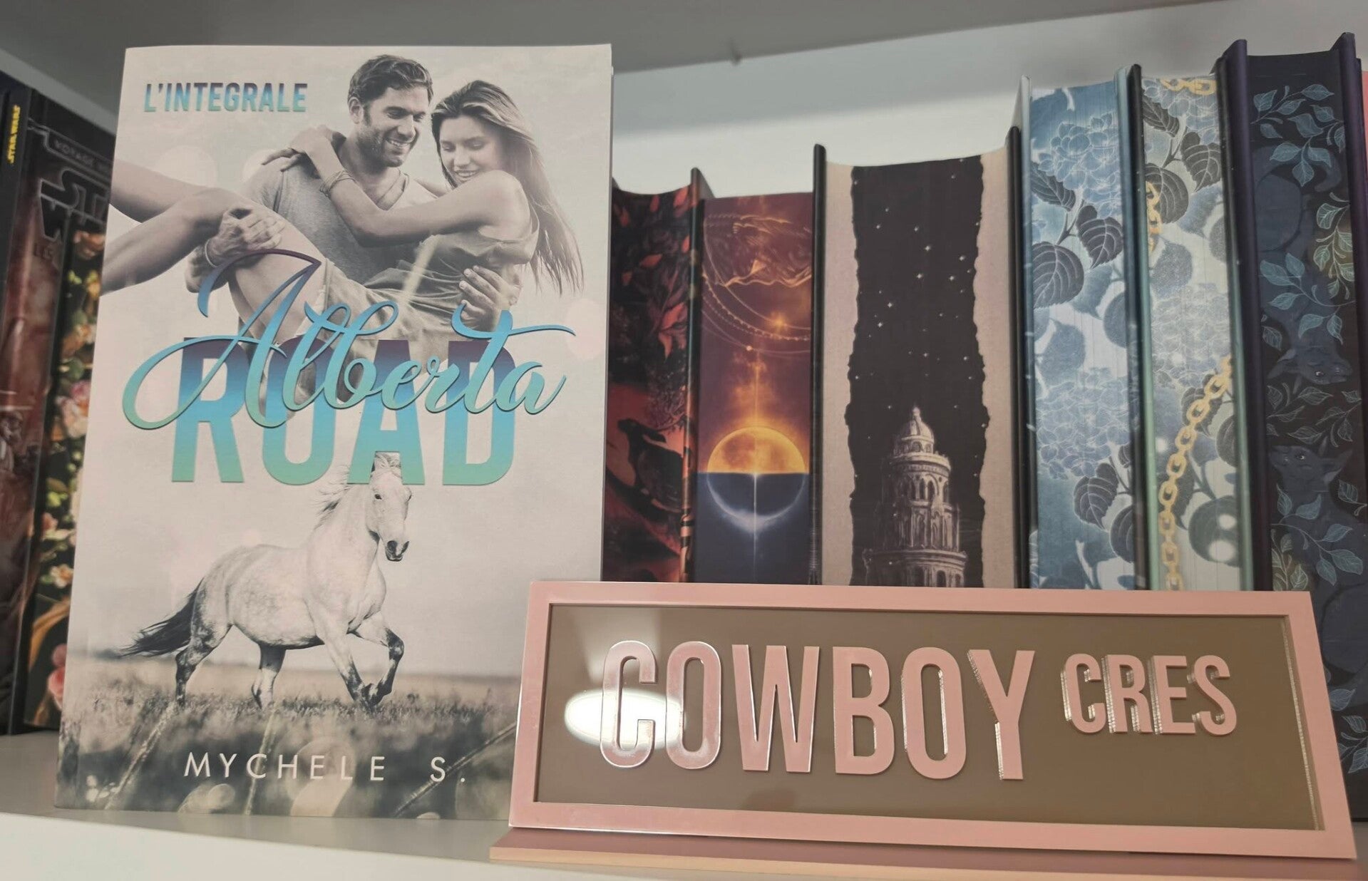 🆕Décoration pour étagère de bibliothèque : Cowboy Cres avec support