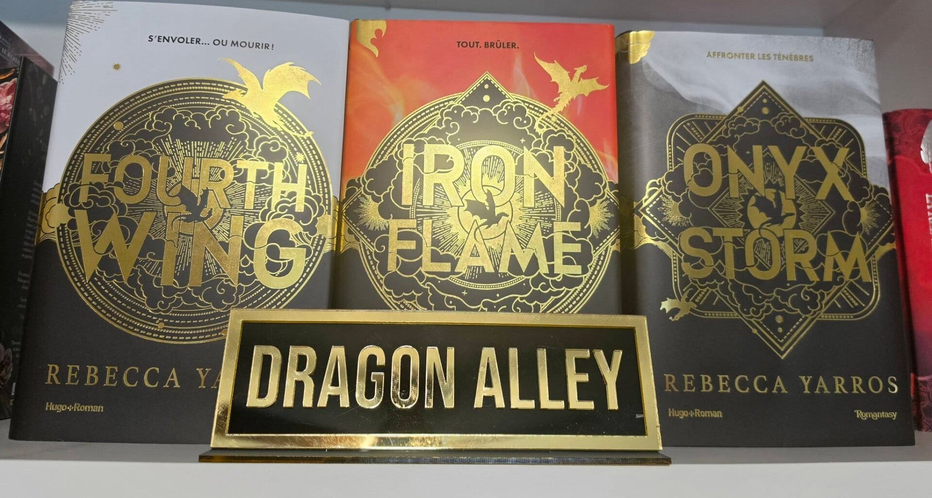 🆕Décoration pour étagère de bibliothèque : Allée des Dragons avec support
