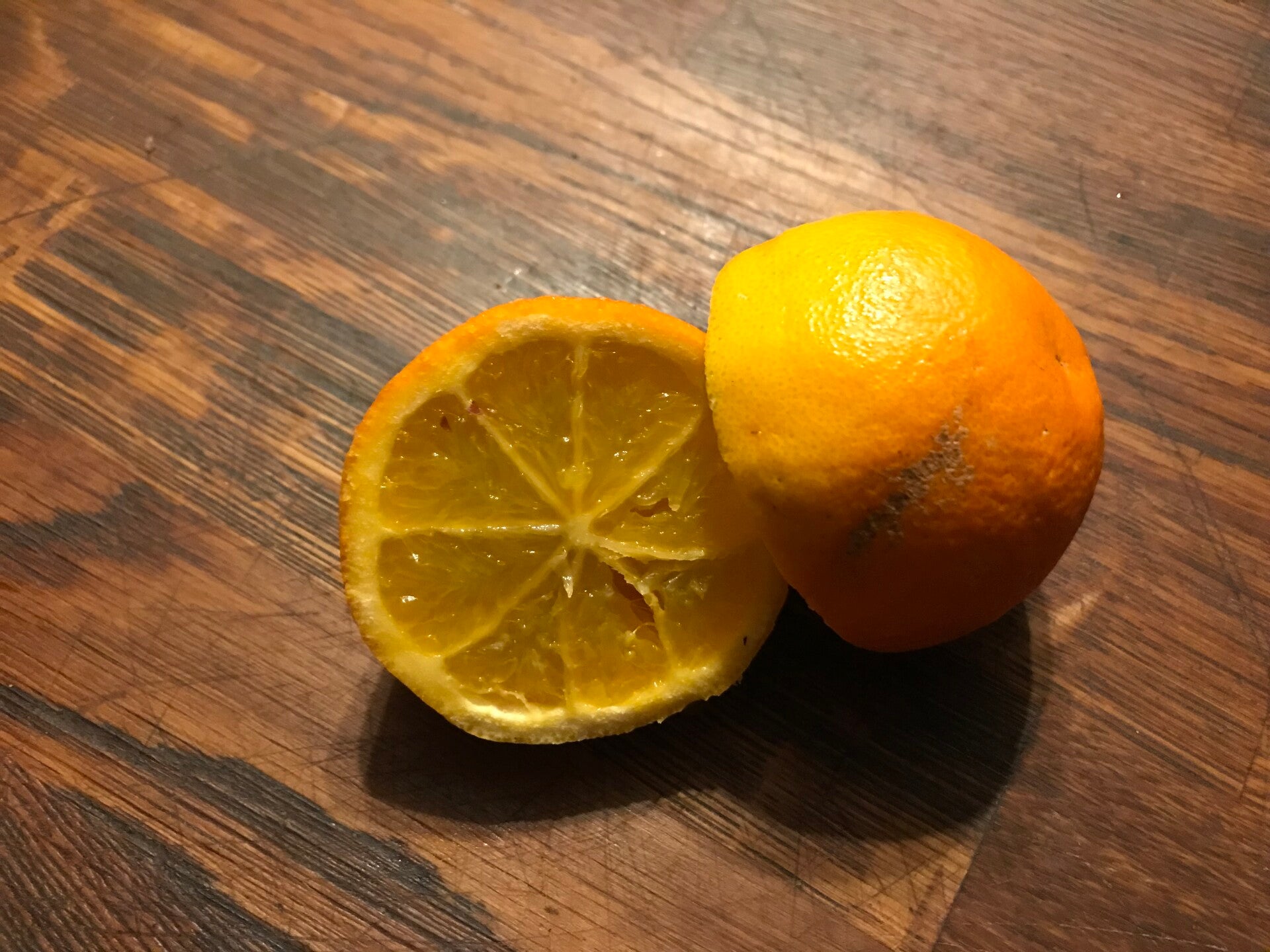 Lime Troyer x Rang pur