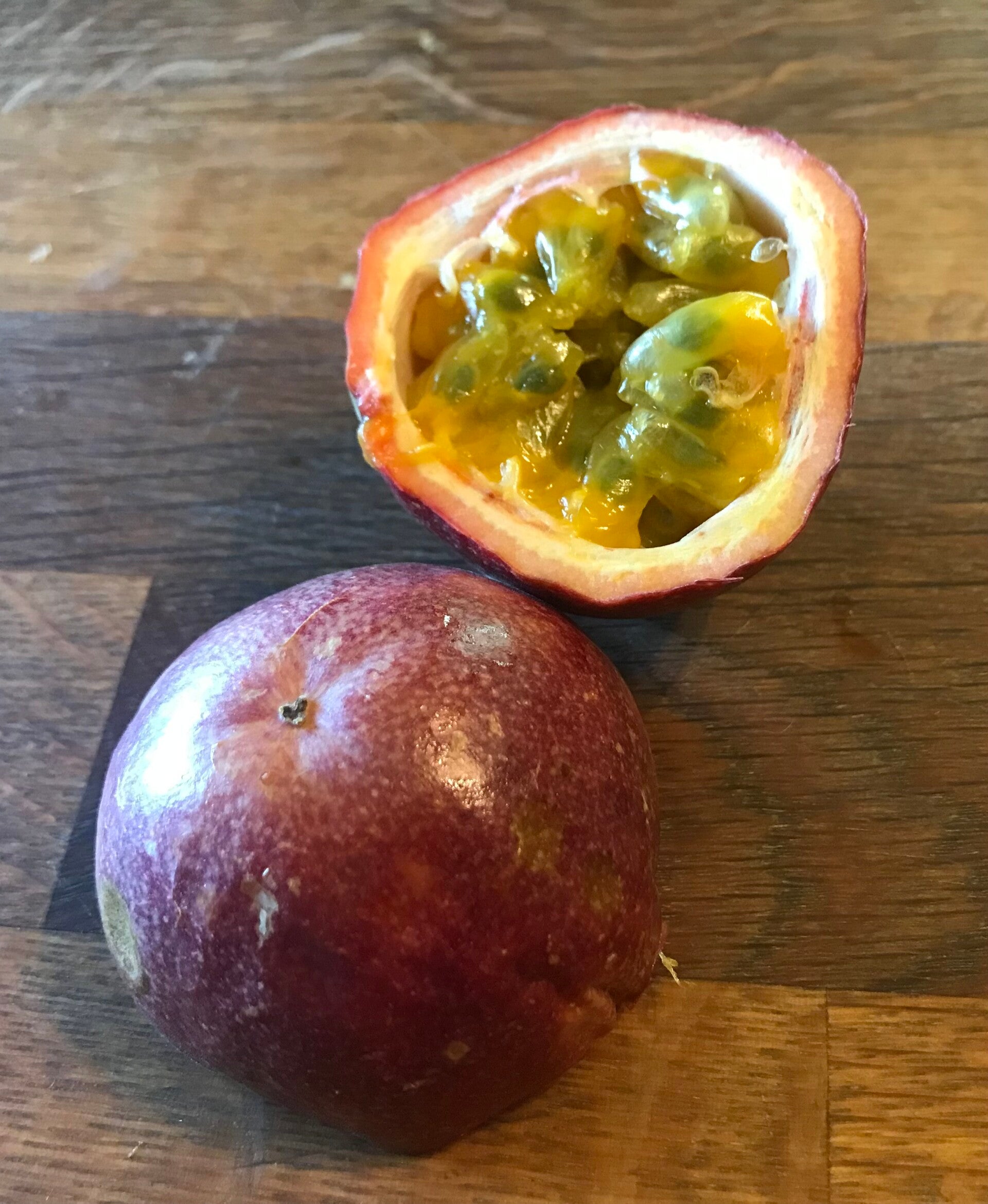 Passiflore edulis ‘Red Flamenco’