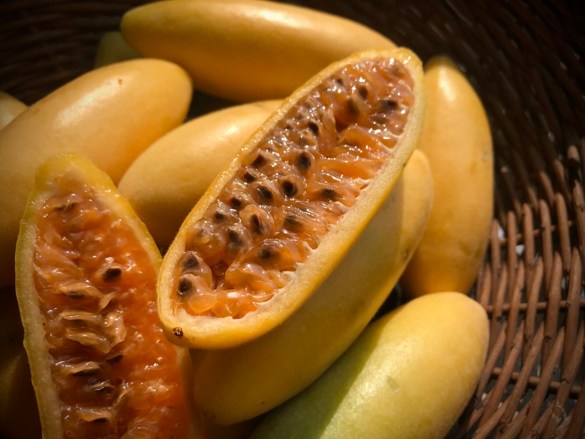 Passiflora tripartita v. mollissima