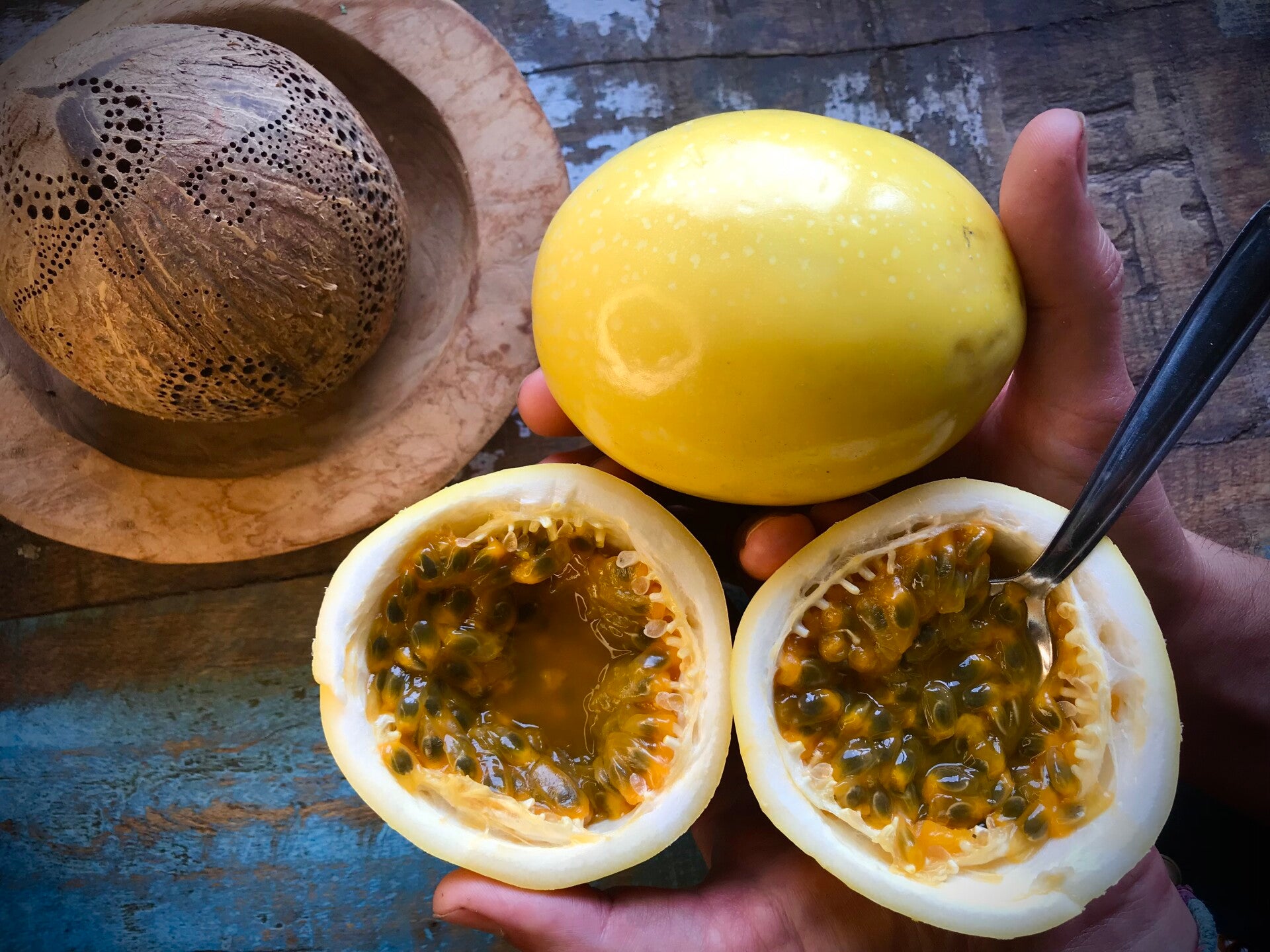 Passiflore edulis ´Sol do Cerrado ´