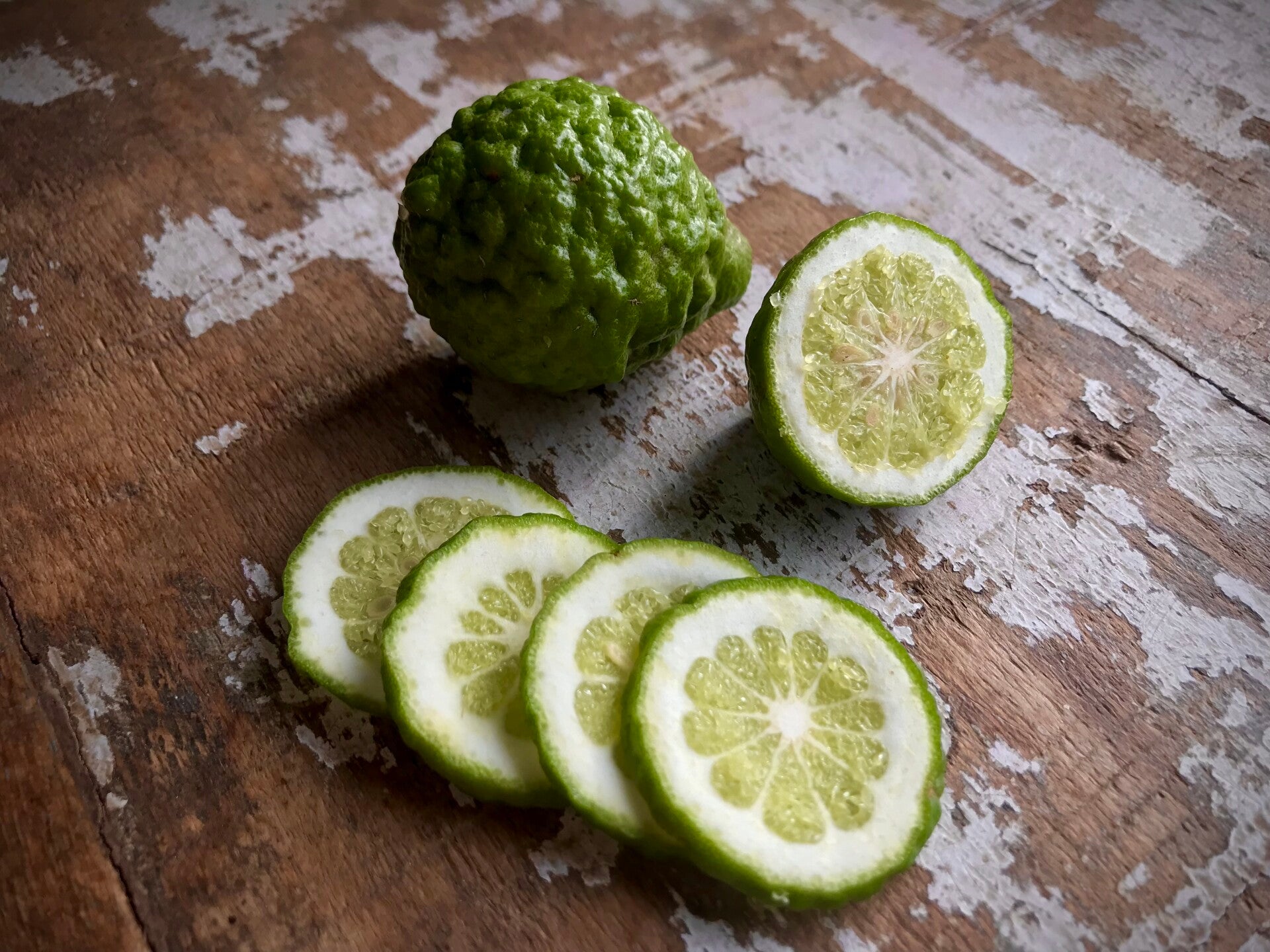 Combava - Citrus hystrix