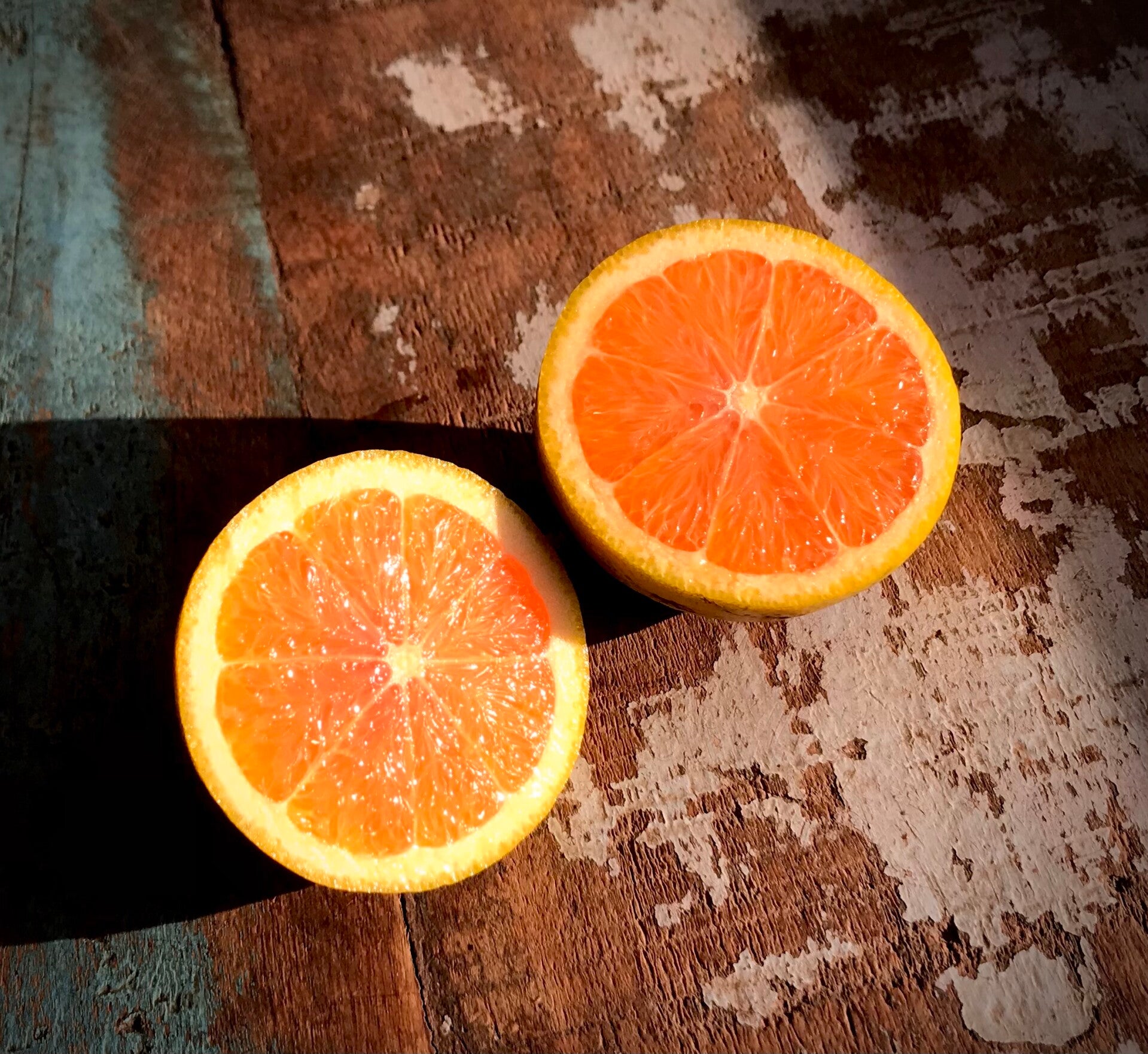 Orange Cara cara - Citrus sinensis Osbeck