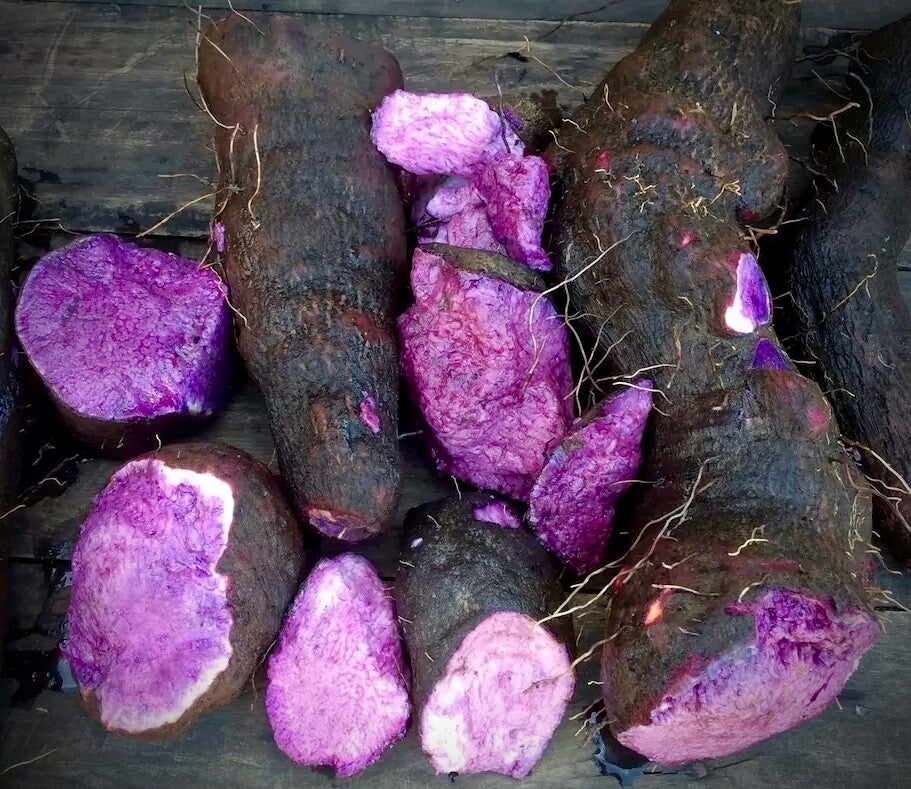 Igname pourpre - Dioscorea alata