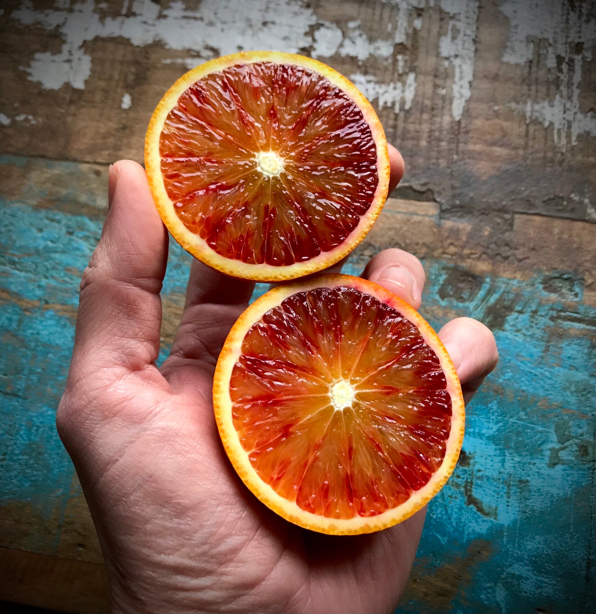 Orange sanguine des montagnes Corse