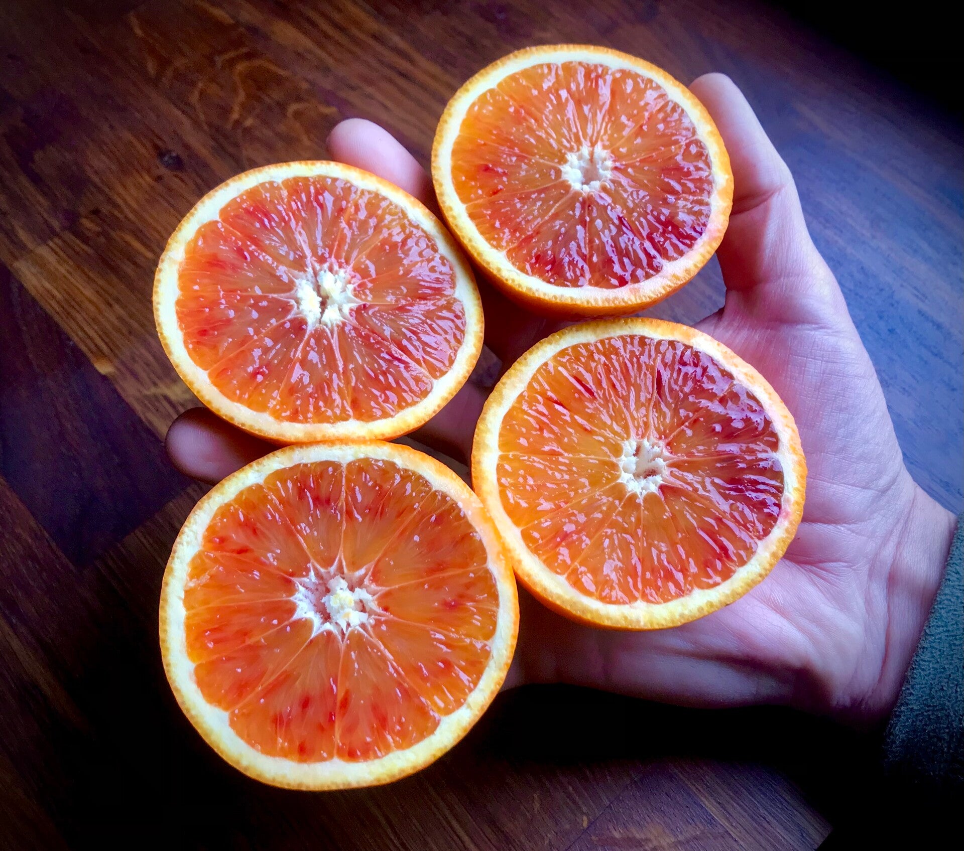Orange Moro - Citrus sinensis osbeck