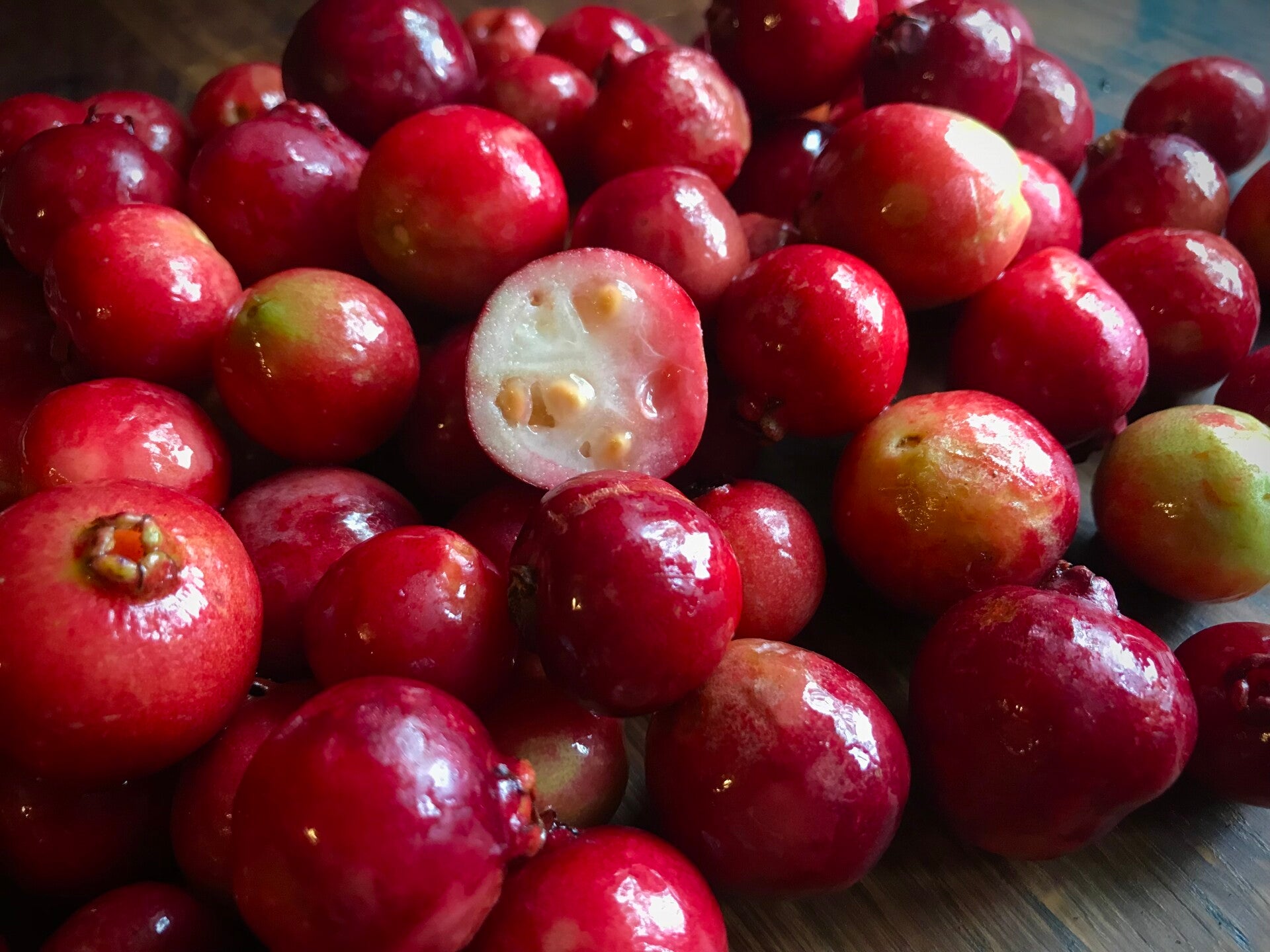 Goyave fraise rouge - Psidium cattleianum rouge