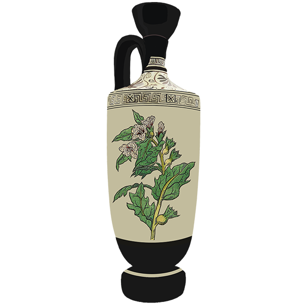 Flower Vase II