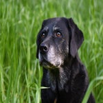 Dsc_8691aa.jpg