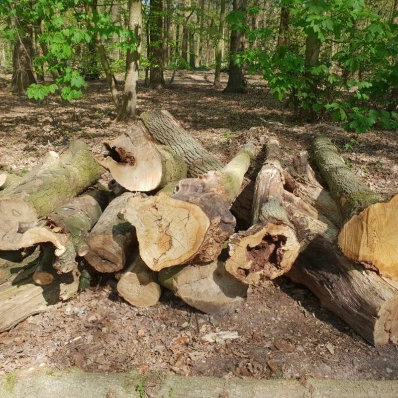 hoekelum_20190420_120035_800.jpg
