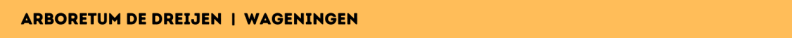 Arboretum De Dreijen | Wageningen