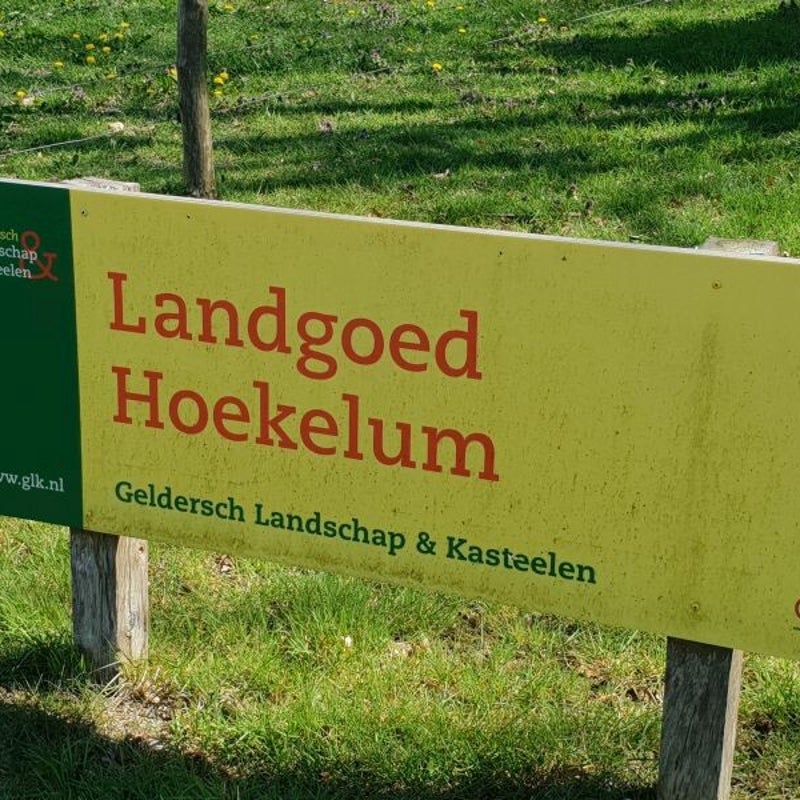 hoekelum_20190420_121844_800.jpg