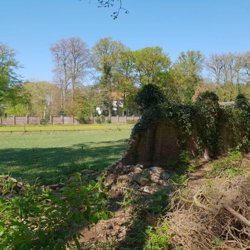 hoekelum_20190420_115508_800.jpg