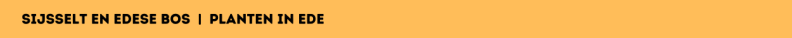 Sijsselt en Edese Bos | planten in Ede
