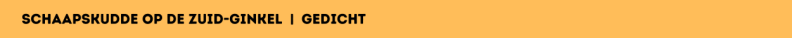 Schaapskudde op de Zuid-Ginkel | gedicht