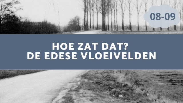 Vloeivelden
