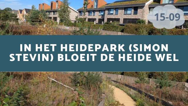 Heidepark