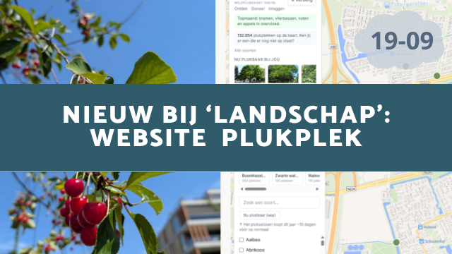 PlukPlek