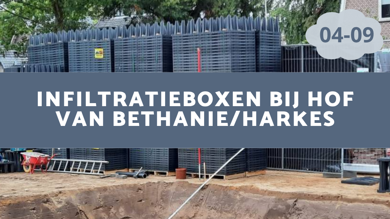 Bethanie/ Harkes