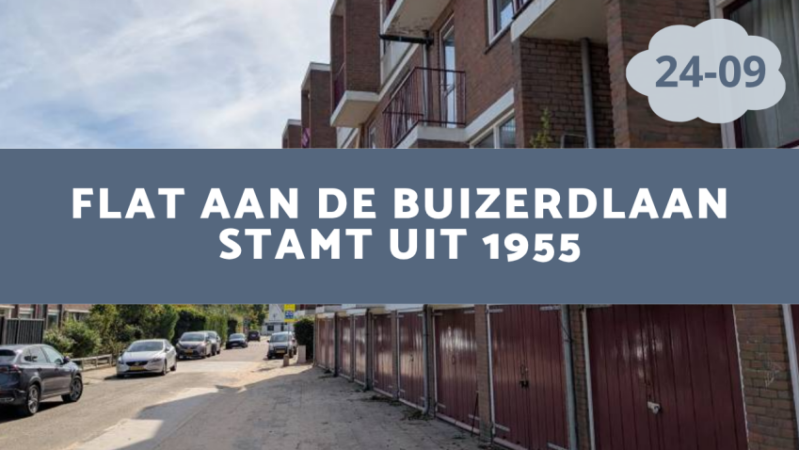 Flat Buizerdlaan