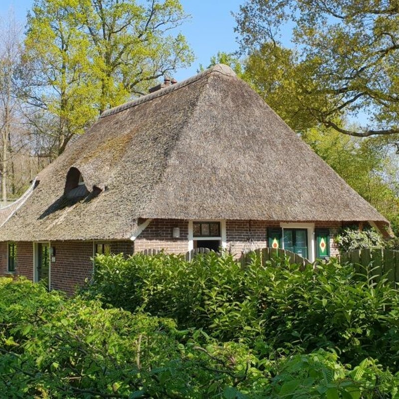 hoekelum_20190420_121533_800.jpg