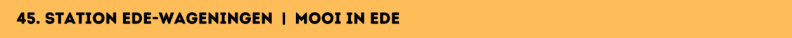 45. Station Ede-Wageningen | Mooi in Ede